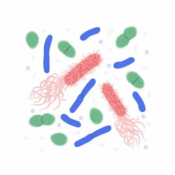 Bacteria Water Test